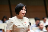 Đại biểu Thái Quỳnh Mai Dung (đoàn Vĩnh Phúc)