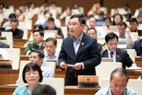 Đại biểu Lê Hoàng Anh (đoàn Gia Lai) phát biểu tại hội trường Quốc hội sáng 21/4