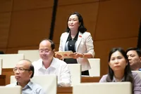 Đại biểu Quốc hội Trần Thị Hoa Ry (đoàn Cà Mau) 