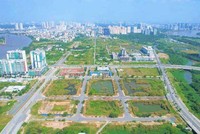 Xử lý vi phạm đất đai trước năm 2024: Chính phủ chỉ đạo rà soát pháp luật