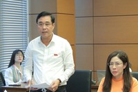 ĐBQH Nguyễn Cao Sơn (đoàn Phú Thọ) thảo luận tại tổ chiều 3/8 