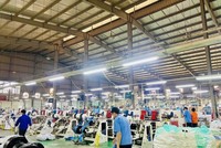Nhựa sinh thái Việt Nam (ECO) vừa niêm yết gần 30 triệu cổ phiếu lên sàn HOSE