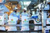 Nếu nghị định về miễn thuế xuất khẩu 3 loại phân bón được thông qua, DCM có thể ghi nhận thêm hơn 200 tỷ đồng lợi nhuận/năm, do không phải nộp thuế.