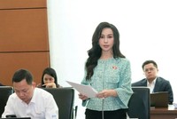 Đại biểu Lê Nữ Thùy Dương (đoàn Đồng Nai) đề nghị luật hoá quy định chứng khoán hoá khoản nợ