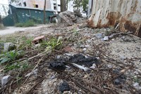 Kim tiêm bủa vây quanh khu nhà A2, A3 thuộc dự án nhà ở sinh viên Pháp Vân - Tứ Hiệp