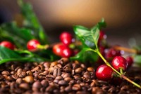 Tin thị trường hàng hoá ngày 13/2: Dầu giảm mạnh, cà phê Robusta lập kỷ lục mới 