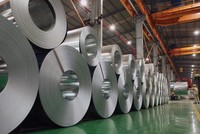 Cổ phiếu Thép tấm lá Thống Nhất (TNS) tiếp tục bị hạn chế giao dịch