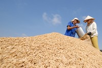 Thêm một doanh nghiệp  gửi đơn cầu cứu về việc xuất khẩu gạo