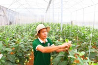 Gần như tất cả các doanh nghiệp đều chịu tác động tiêu cực bởi Covid-19. Ảnh: Lê Toàn