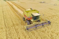 Nguồn nguyên liệu có trong sản phẩm được trồng trọt trên những trang trại hữu cơ được chứng nhận NutriCert