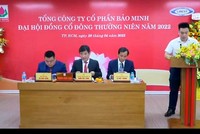 ĐHCĐ Bảo Minh (BMI): Nới room ngoại lên 100% và phương án thoái vốn của SCIC vẫn đang chờ