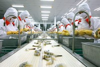 Những lưu ý với nhóm cổ phiếu doanh nghiệp chịu ảnh hưởng thuế quan 