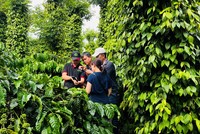 Nestlé Việt Nam đẩy mạnh hợp tác đa bên trong nỗ lực thúc đẩy nông nghiệp xanh