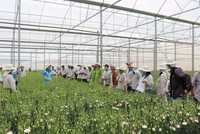 Yara Việt Nam chuyển đổi toàn diện, tập trung vào thương mại và các dịch vụ bền vững 