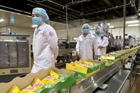 Mondelez Kinh Đô tìm kiếm và mở rộng hợp tác với các nhà sản xuất trứng gà trên cả nước