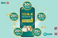 Ngày vàng 6.6.2023: BIC ưu đãi tới 30% phí bảo hiểm