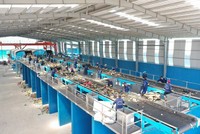 Dây chuyền xử lý rác thải của một doanh nghiệp ở Bình Dương. Ảnh Lê Toàn