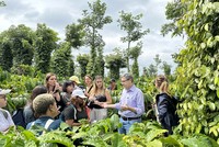 Nestlé quảng bá hình ảnh cà phê Việt ra thế giới 