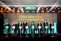 Năm 2025 lợi nhuận riêng trước thuế của BIC đạt hơn 650 tỷ đồng