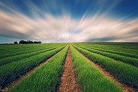 PAN: Lợi nhuận của các mảng cốt lõi vẫn tăng trưởng khả quan