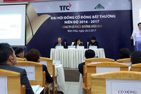 Dự kiến tháng 9, cổ phiếu BHS sẽ chính thức giao dịch với mã SBT