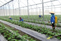 Chính sách còn bao bọc, thời tiết bất lợi nhưng nông nghiệp 2017 sẽ về đích thành công