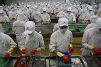 MPC chốt danh sách thưởng cổ phiếu tỷ lệ 1:1 cho cổ đông hiện hữu