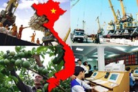 Xem danh mục các mặt hàng xuất khẩu nông sản tỷ USD của Việt Nam