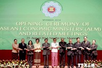 Việt Nam tham dự Hội nghị Bộ trưởng Kinh tế ASEAN lần thứ 46