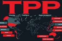 Phiên đàm phán TPP cấp trưởng đoàn đạt được nhiều tiến bộ quan trọng