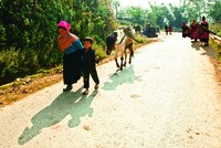 Lai Châu là tỉnh miền núi xa xôi, đi lại khó khăn, cơ sở hạ tầng đường xá còn kém, nên đã đẩy chi phí vận chuyển hàng hóa lên cao