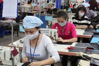 Doanh nghiệp sản xuất, kinh doanh, xuất khẩu Việt Nam có nhiều cơ hội tăng xuất khẩu hàng hóa sang thị trường các nước EAEU