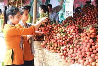 Nông sản Việt như cô gái đẹp, nhưng chỉ ngồi nhà chờ người đến tán tỉnh