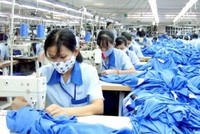 Cảnh báo nguy cơ hàng xuất khẩu Việt Nam bị Liên minh kinh tế Á - Âu tăng thuế