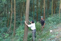 Quản lý rừng, hướng tiếp cận mới dựa vào công nghệ