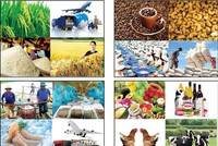 Doanh nghiệp Việt Nam sẽ được hưởng các ưu đãi CPTPP từ ngày 14/1/2019