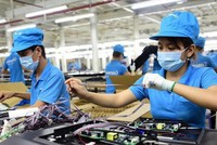  Năm 2001, số doanh nghiệp tư nhân quy mô vừa và lớn (sử dụng từ 100 lao động trở lên) chiếm 6%, năm 2013 chỉ còn 3%.