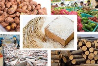 Có tới 6/9 mặt hàng trong nhóm nông sản, thủy sản có kim ngạch xuất khẩu giảm