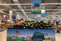 Chuẩn bị đủ nguồn cung thực phẩm thiết yếu cho nhu cầu người dân trong giai đoạn dịch bệnh 