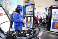 (Ảnh minh họa: Internet)