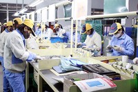 Đến tháng 6, có gần 31 triệu người bị ảnh hưởng tiêu cực bởi Covid-19