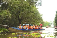 Phượt “êm đềm” trên cung đường xanh (nguồn ảnh: Internet)