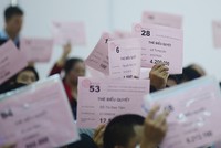 Lá phiếu của mỗi cổ đông tuy nhỏ, nhưng nếu tập hợp đủ lớn theo quy định của luật pháp sẽ có trọng lượng và tiếng nói hơn 