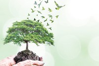 Nâng tầm doanh nghiệp niêm yết là yếu tố để nâng hạng TTCK