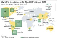 [Infographic] Cây trồng biến đổi gene tại 26 nước trong năm 2016