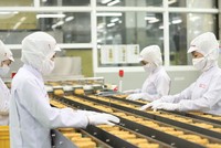 Nhiều nhà đầu tư cho biết sẽ xem xét mở rộng chuỗi cung ứng tại Việt Nam. Trong ảnh: Nhà máy của Acecook Việt Nam.