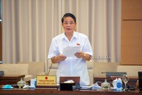 Chủ nhiêm Ủy ban Tài chính - Ngân sách của Quốc hội Nguyễn Đức Hải.