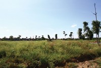 Bên trong dự án Mê Linh Vista