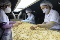 Nông sản Việt Nam đang lọt vào tầm ngắm của nhiều nhà nhập khẩu lớn trên thế giới.