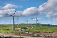 Trang trại phong điện đầu tiên tại Hà Tĩnh, công suất 120 MW